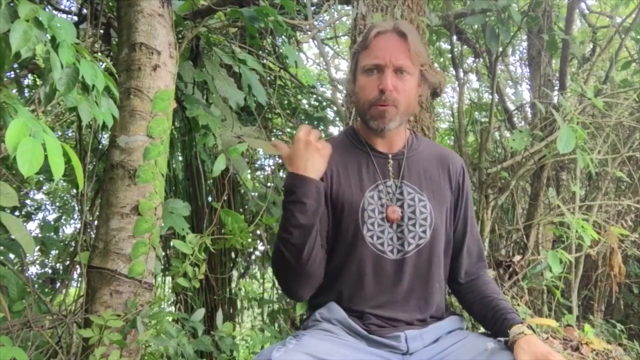 Conscious Breathwork: Master Yogic 'Pranayama' Breathing – Screenshot 1