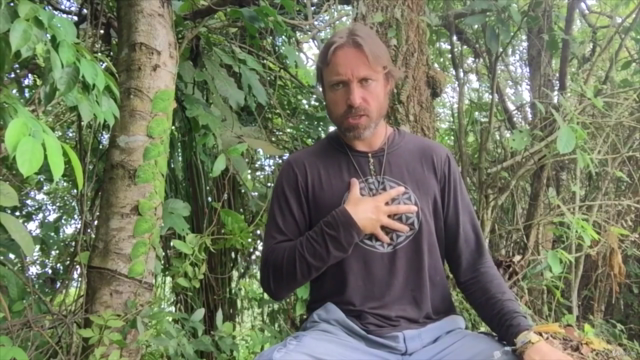 Conscious Breathwork: Master Yogic 'Pranayama' Breathing – Screenshot 2