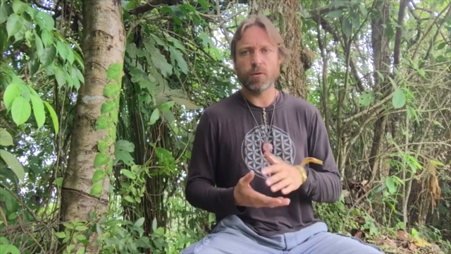 Conscious Breathwork: Master Yogic 'Pranayama' Breathing – Screenshot 3