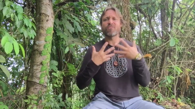 Conscious Breathwork: Master Yogic 'Pranayama' Breathing – Screenshot 4