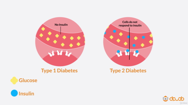 Type 1 Diabetes: Giving Your Child the Best Care – Screenshot 2