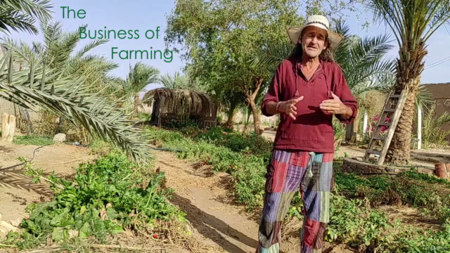 Living Farm! The Self-Reliance Cash Crop Organic IdeaBank - Screenshot_04