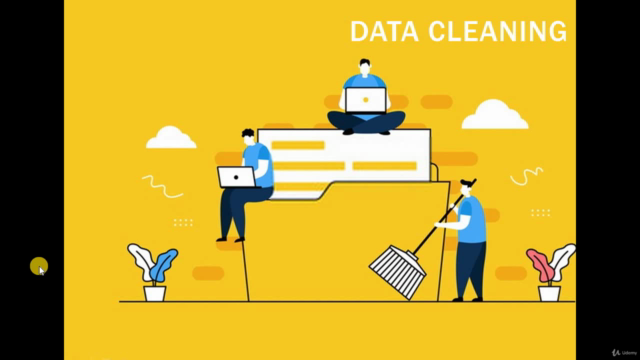 Data Cleaning in Python – Screenshot 2