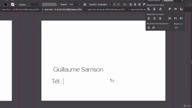ILLUSTRATOR | Pack Essentiel Business - Vos supports de com' – Screenshot 4
