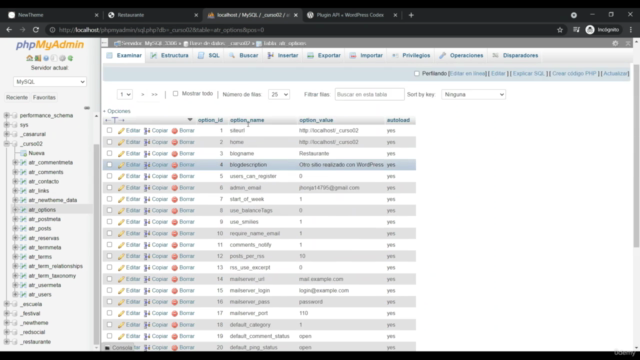 Aprende a crear Plugins avanzados con Wordpress – Screenshot 2