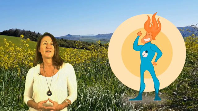 Accredited Holistic Herbalist Diploma Course – Screenshot 3