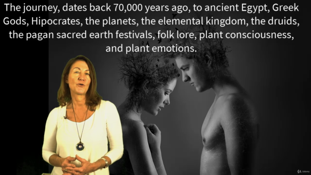 Accredited Holistic Herbalist Diploma Course – Screenshot 4