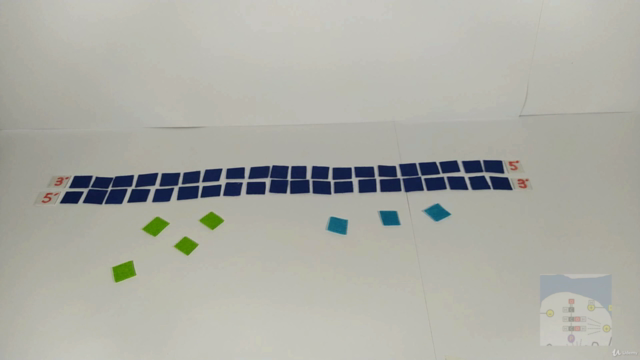 Genetics and Molecular Biology for Medical Students – Screenshot 1