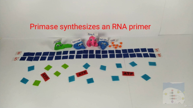 Genetics and Molecular Biology for Medical Students – Screenshot 3