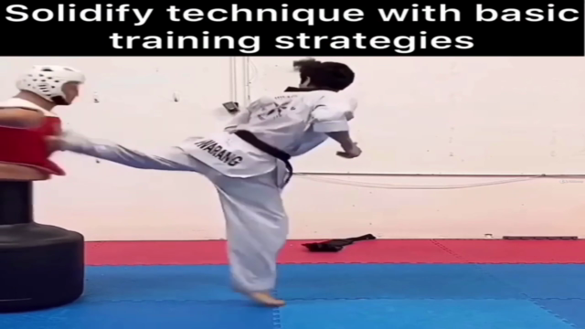The Mechanics of Taekwondo Kicking Technique - Volume 1 – Screenshot 2