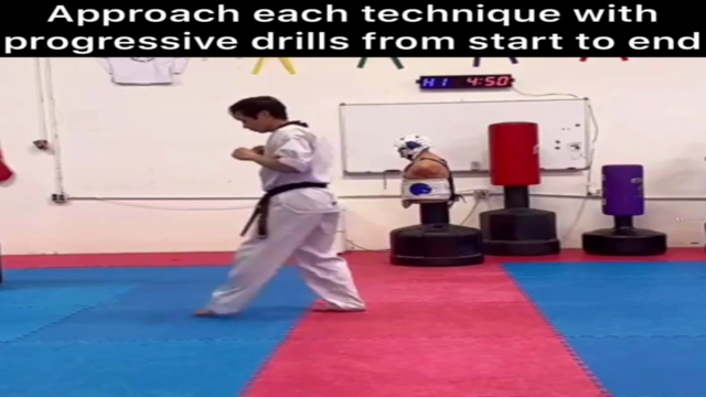 The Mechanics of Taekwondo Kicking Technique - Volume 1 – Screenshot 3