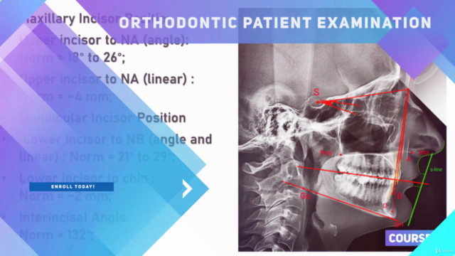 Introduction to Orthodontics. Patient Examination. – Screenshot 2