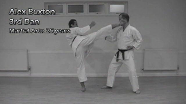 Get My Black Belt: Wado Ryu Karate (Part 2) – Screenshot 4