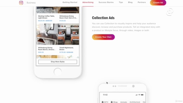 Instagram Ads Masterclass: Complete Guide for Instagram Ads – Screenshot 1