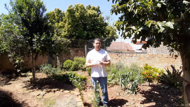 PANC - Plantas Alimentícias Não Convencionais – Screenshot 2