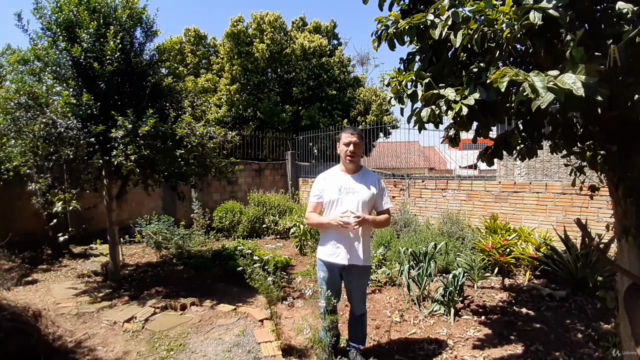 PANC - Plantas Alimentícias Não Convencionais – Screenshot 3