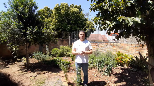 PANC - Plantas Alimentícias Não Convencionais – Screenshot 4