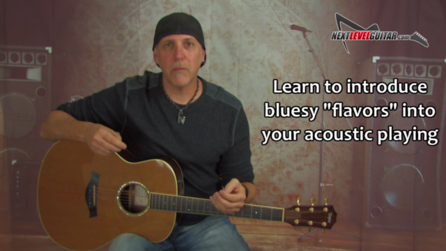 Acoustic Blues Guitar Licks & Soloing Strategies – Screenshot 2