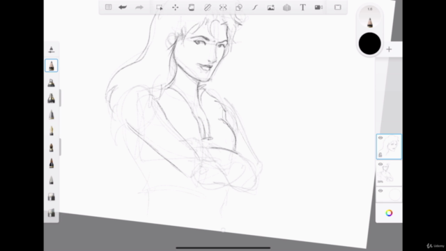 SKETCHBOOK sur IPAD: Le cours complet – Screenshot 2