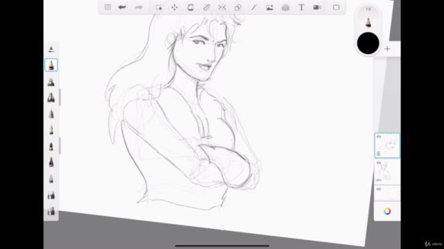 SKETCHBOOK sur IPAD: Le cours complet – Screenshot 3