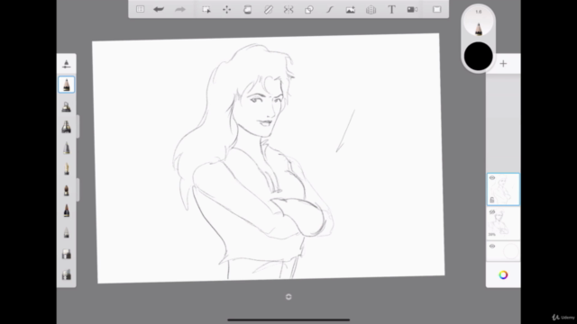 SKETCHBOOK sur IPAD: Le cours complet – Screenshot 4