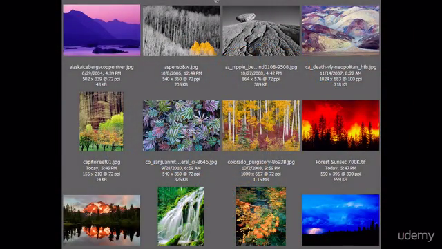 How to be a Professional Outdoor and Nature Photographer - Screenshot_04