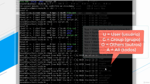 Administração de Sistemas GNU/Linux: Fundamentos e Prática – Screenshot 1