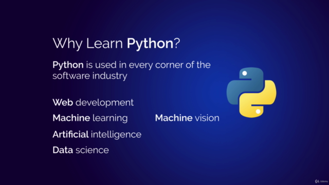 Python for Everybody: The Ultimate Python 3 Bootcamp – Screenshot 1