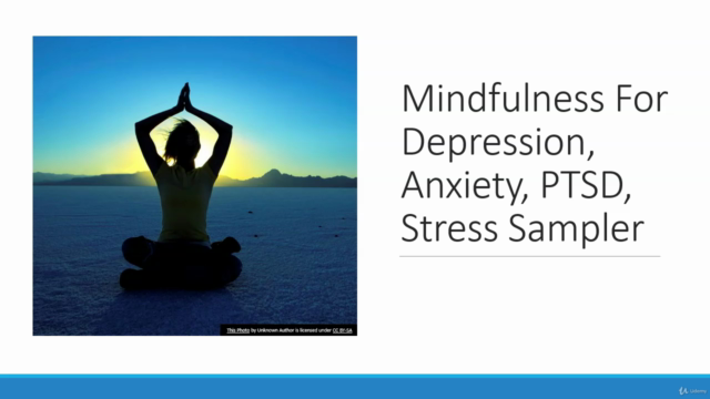 Mastering Mindfulness: Conquer Stress, Anxiety & Depression – Screenshot 1