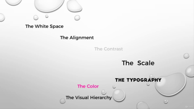 The Modern Flexbox, Grid, Sass & Animations Developer Course – Screenshot 2