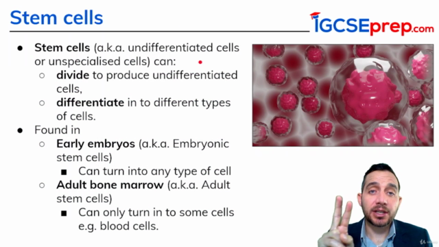 Master the Fundamentals of Biology (Part 1 of 4) IGCSE – Screenshot 3