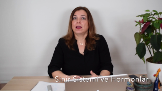 Stres Yönetimi – Screenshot 2