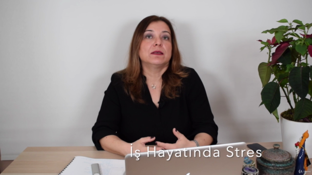 Stres Yönetimi – Screenshot 3