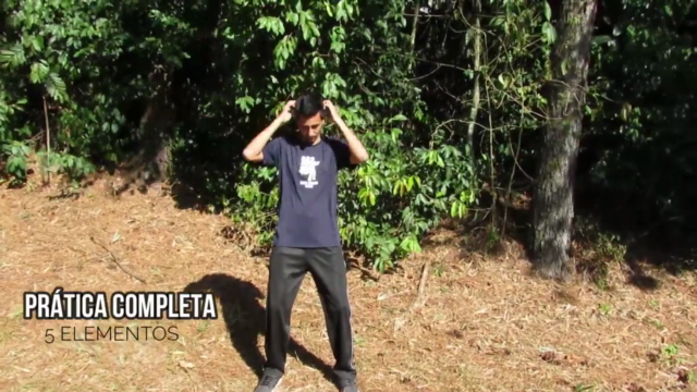 Prática dos 5 elementos Qi Gong (Chi Kung) – Screenshot 1