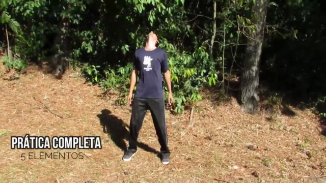 Prática dos 5 elementos Qi Gong (Chi Kung) – Screenshot 2