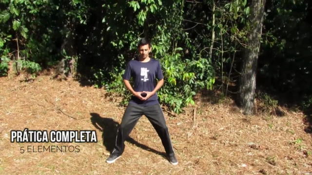 Prática dos 5 elementos Qi Gong (Chi Kung) – Screenshot 3