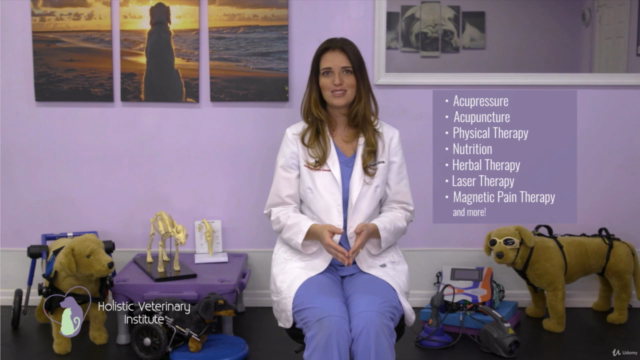 Introduction To Pet Acupressure Therapy – Screenshot 1