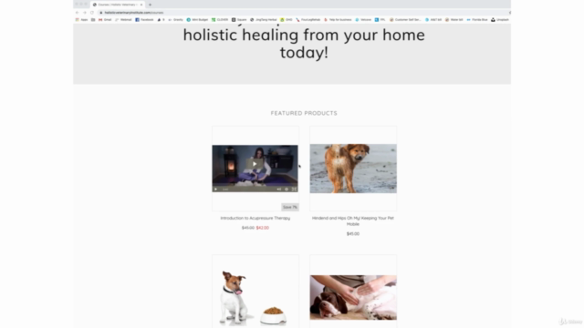 Introduction To Pet Acupressure Therapy – Screenshot 2