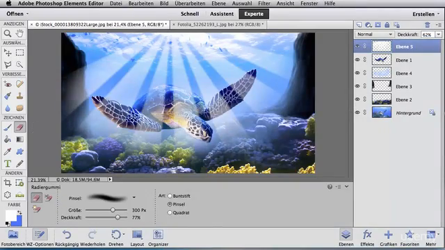 Photoshop und Photoshop Elements Grundlagen für Künstler – Screenshot 1