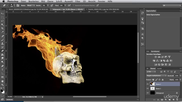 Photoshop und Photoshop Elements Grundlagen für Künstler – Screenshot 2