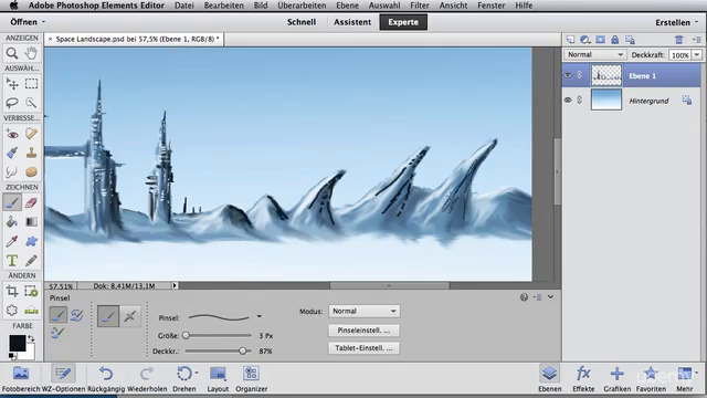 Photoshop und Photoshop Elements Grundlagen für Künstler – Screenshot 3