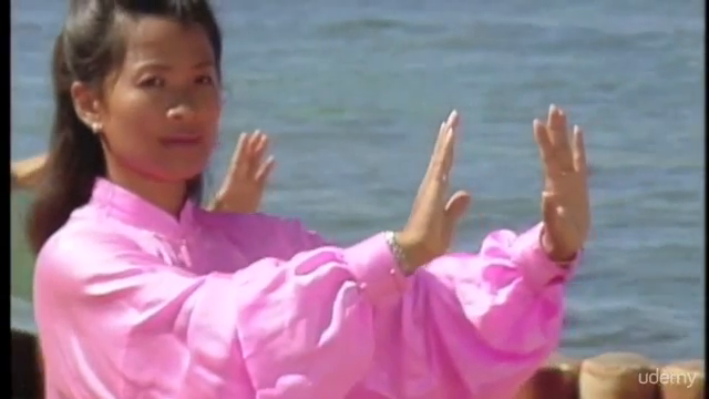 Tai Chi in Paradise: 24 Steps Beneath the Palms – Screenshot 2