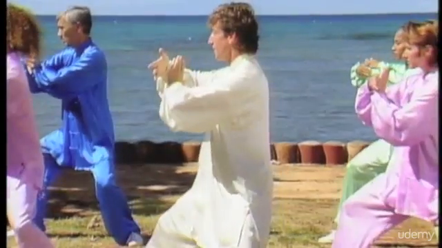 Tai Chi in Paradise: 24 Steps Beneath the Palms – Screenshot 3
