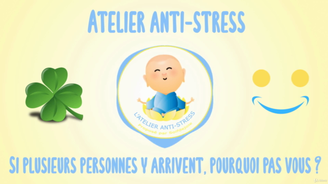 Gérer le Stress en 28 Jours : Analyses et Exercices – Screenshot 1