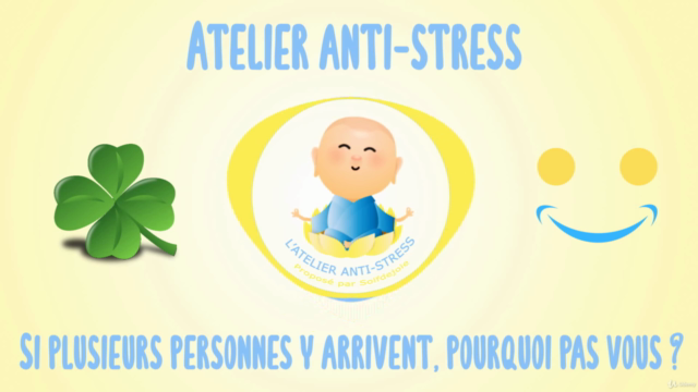 Gérer le Stress en 28 Jours : Analyses et Exercices – Screenshot 2