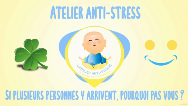 Gérer le Stress en 28 Jours : Analyses et Exercices – Screenshot 3