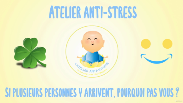 Gérer le Stress en 28 Jours : Analyses et Exercices – Screenshot 4