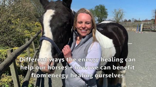 Energy Healing for Horses – Screenshot 1