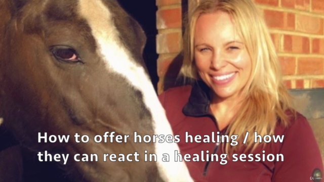 Energy Healing for Horses – Screenshot 2