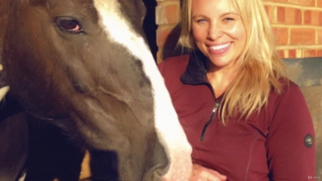 Energy Healing for Horses – Screenshot 3